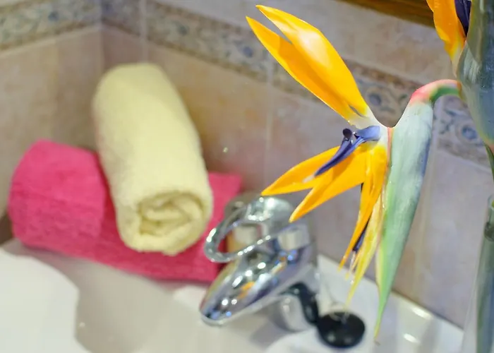 La Rubina * تيغيسي